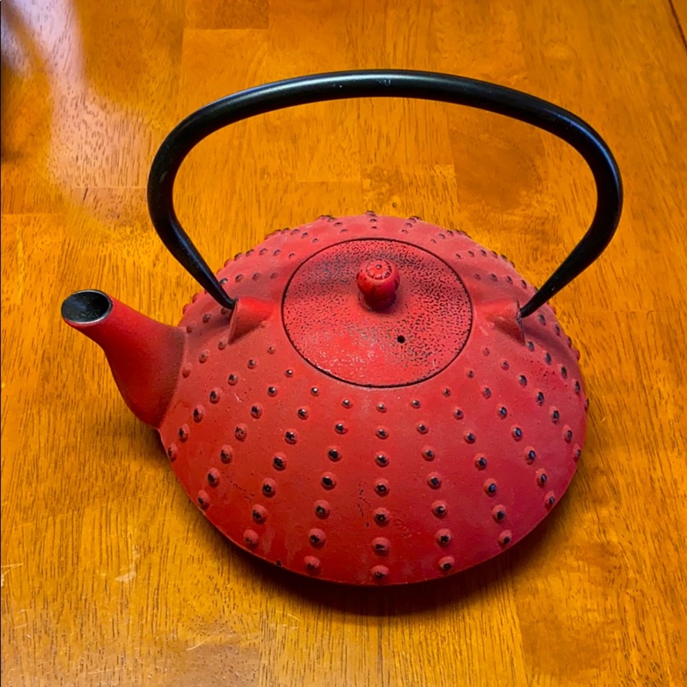 Brand New Beautiful Cast Iron Teapot w/ screen